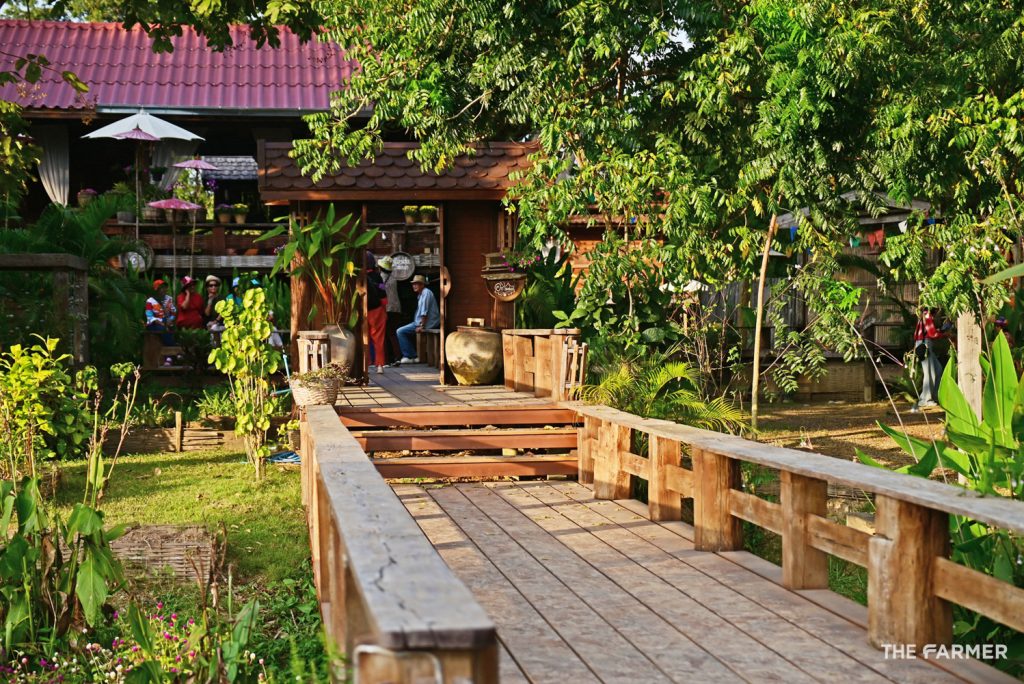 บ้านนาต้นจั่นโฮมสเตย์ (บางส่วน) ปกติมีกว่า 30 หลัง